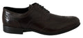 Dolce & Gabbana Brown Leather Broques Oxford Wingtip Shoes by Dolce & Gabbana