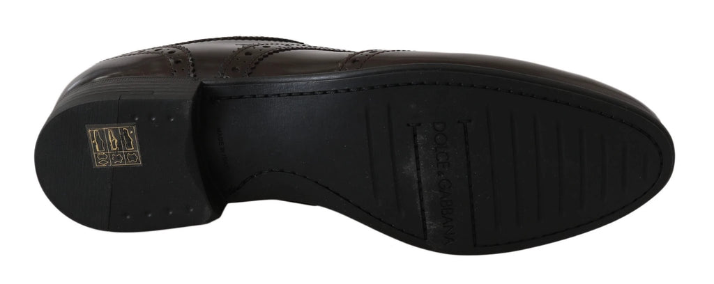 Dolce & Gabbana Brown Leather Broques Oxford Wingtip Shoes by Dolce & Gabbana
