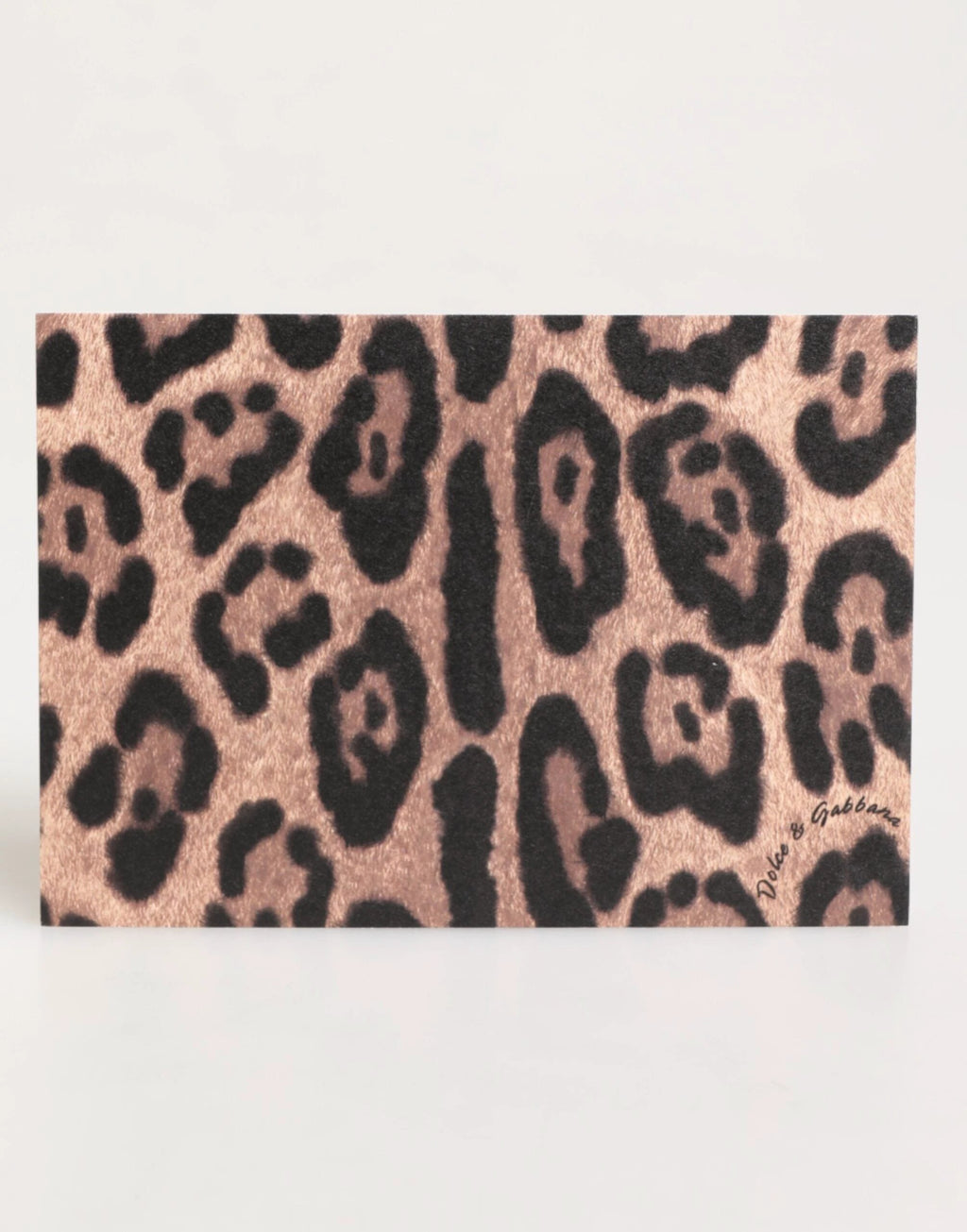 Dolce & Gabbana Multicolor Leopard Print Envelope Paper Post Card Holder by Dolce & Gabbana