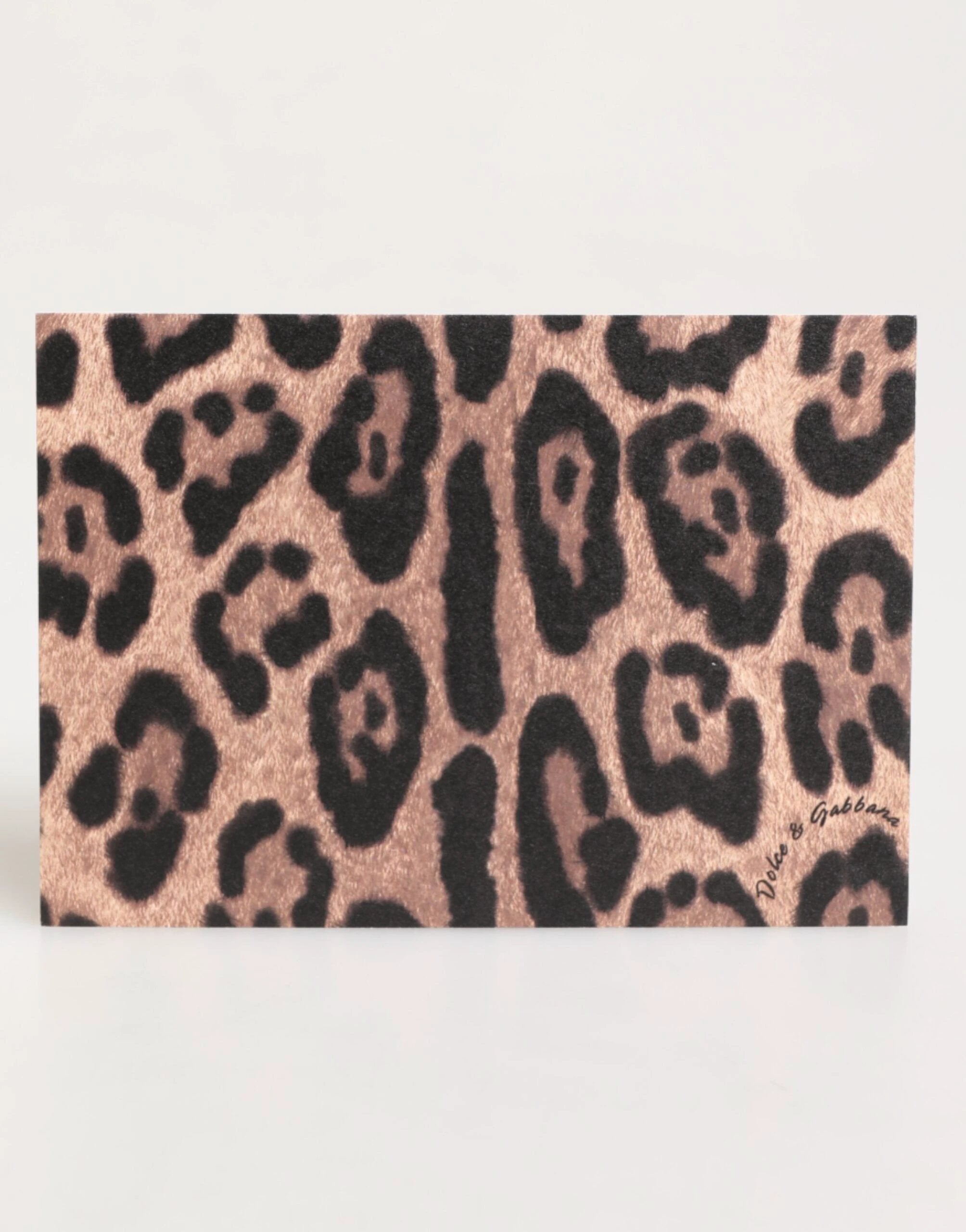 Dolce & Gabbana Multicolor Leopard Print Envelope Paper Post Card Holder by Dolce & Gabbana