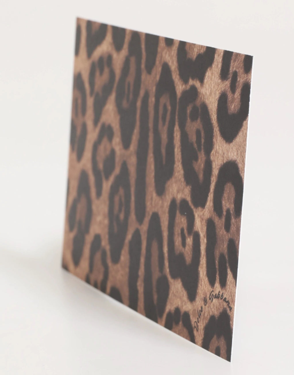 Dolce & Gabbana Multicolor Leopard Print Envelope Paper Post Card Holder by Dolce & Gabbana