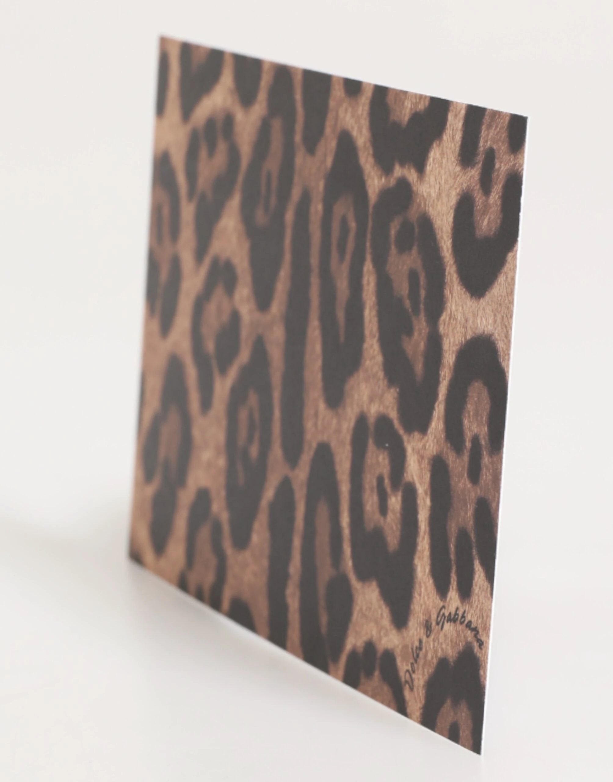 Dolce & Gabbana Multicolor Leopard Print Envelope Paper Post Card Holder by Dolce & Gabbana