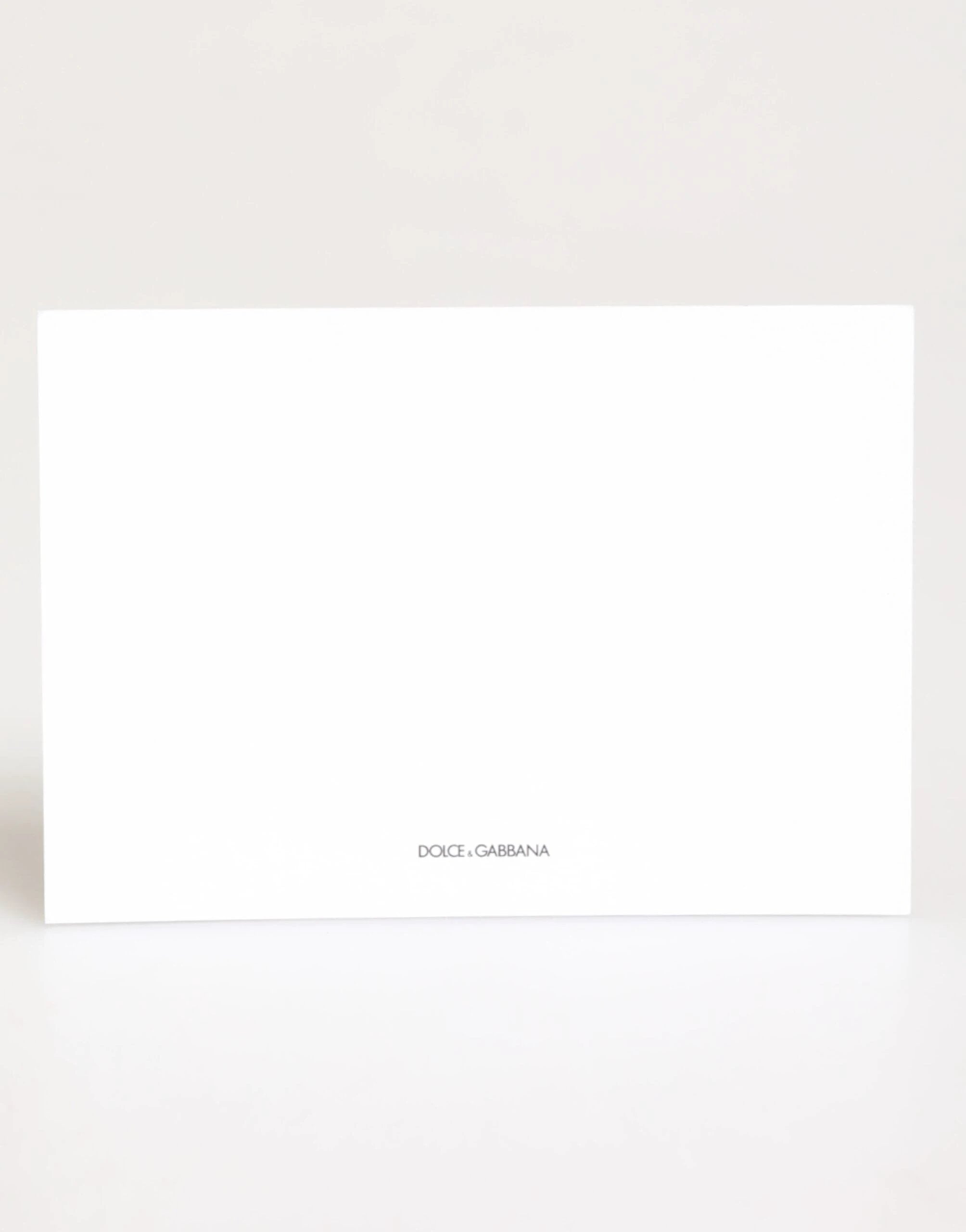 Dolce & Gabbana Multicolor Leopard Print Envelope Paper Post Card Holder by Dolce & Gabbana