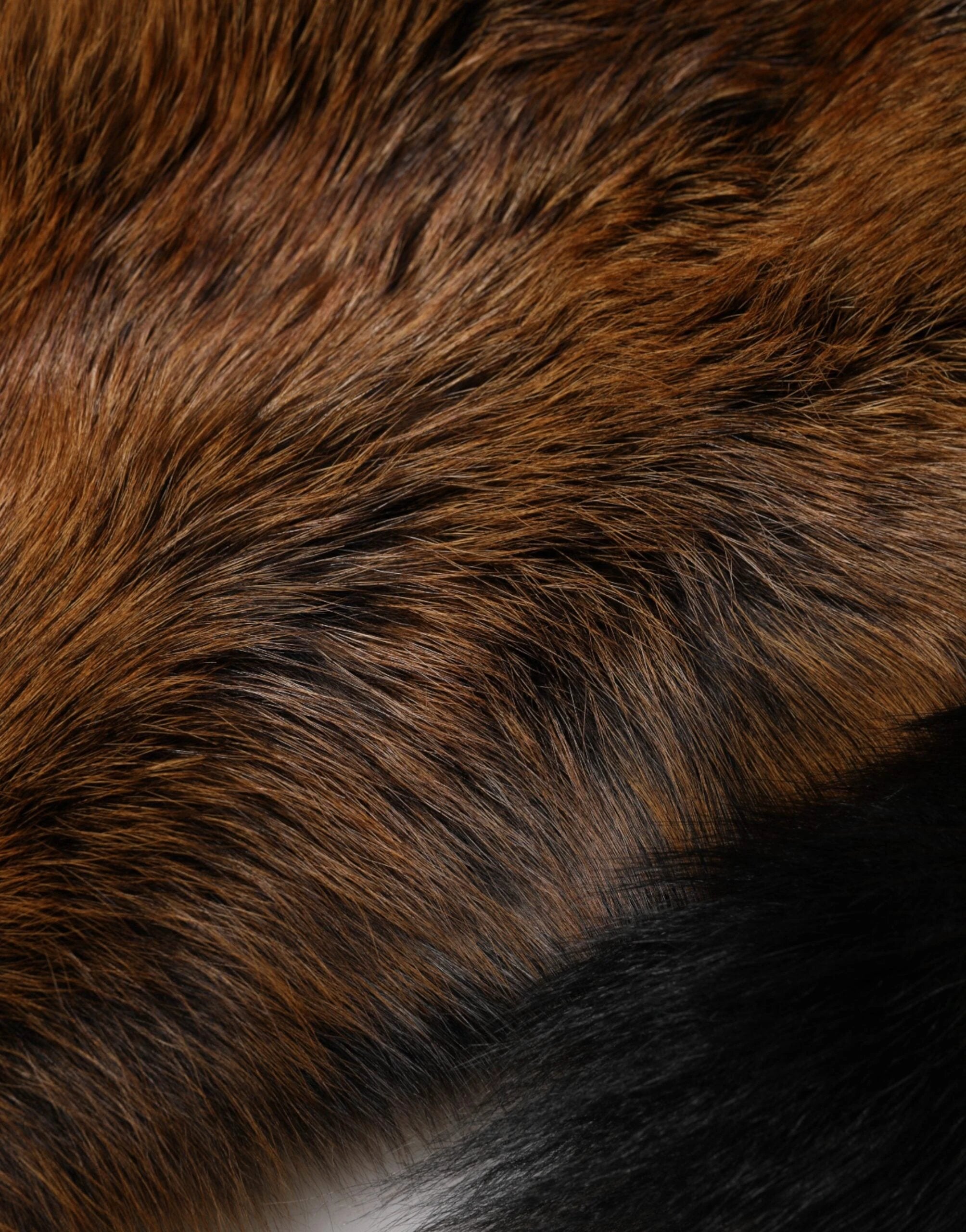 Dolce & Gabbana Brown Red Fox Fur Neck Cashmere Warmer Scarf by Dolce & Gabbana