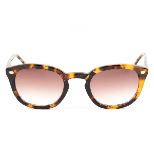 Lunettes de soleil Belstaff en acétate marron