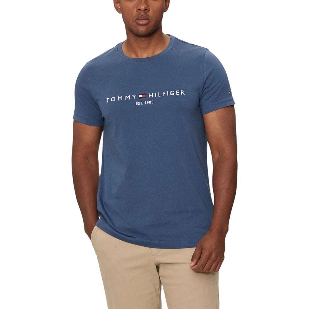Tommy Hilfiger Homme T-Shirts