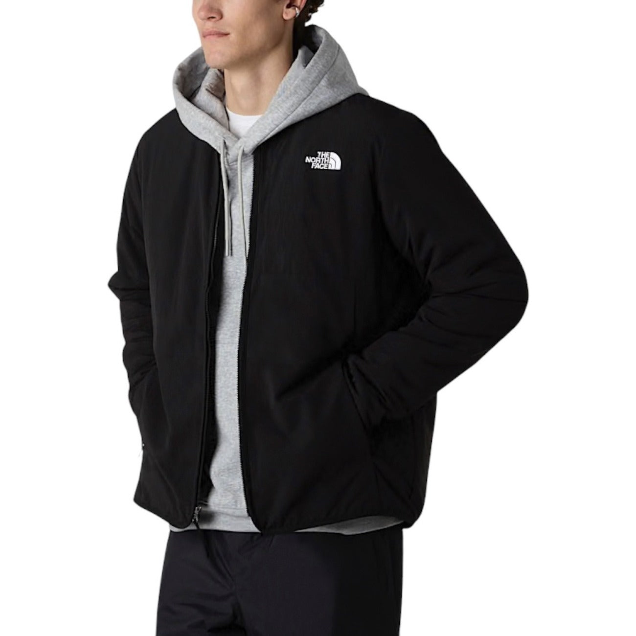 The North Face Homme Jaquettes
