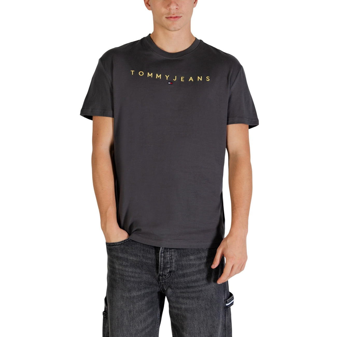 Tommy Hilfiger Jeans Homme T-Shirts