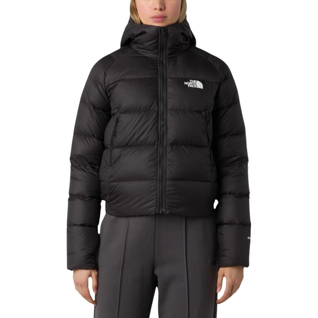 The North Face Femme Vestes