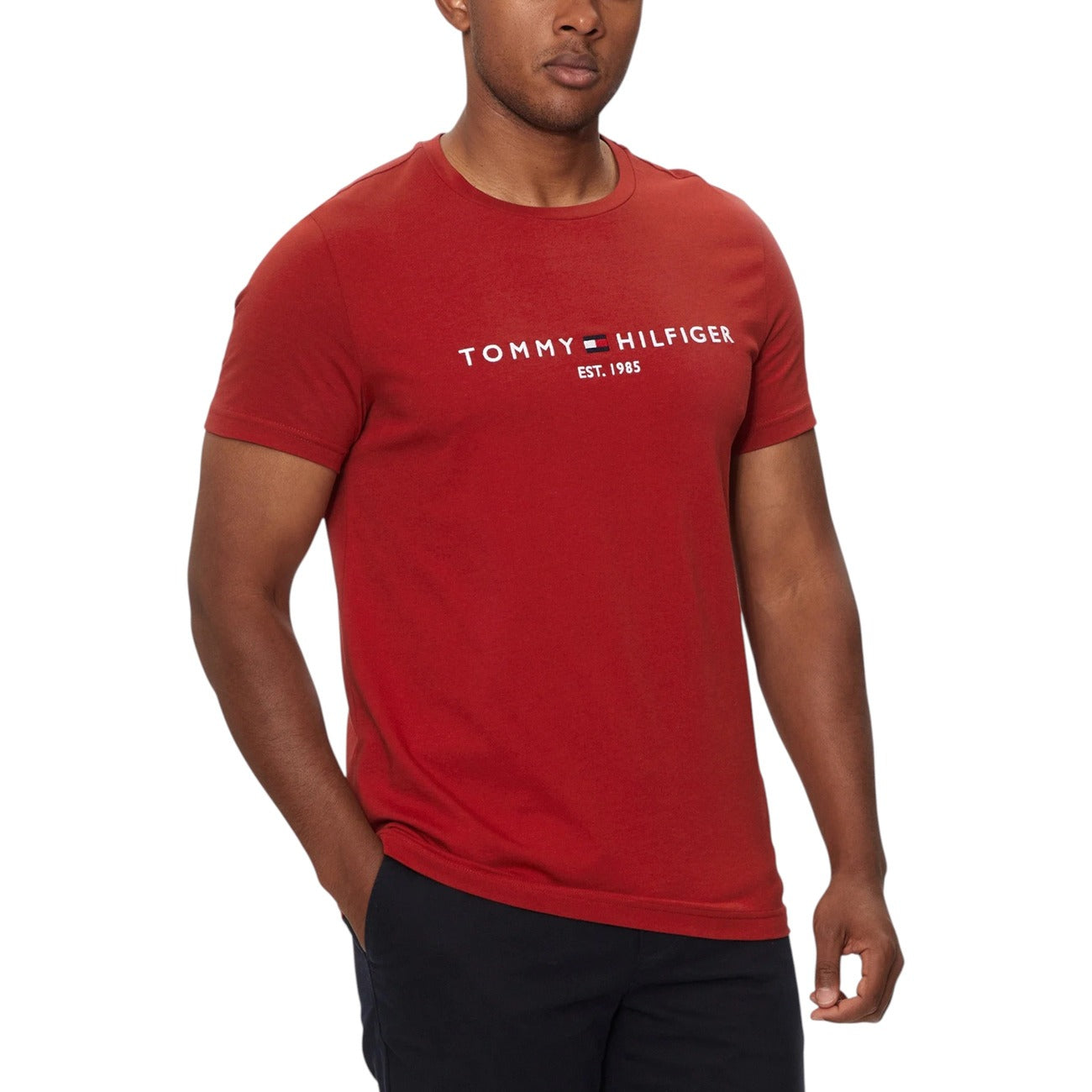 Tommy Hilfiger Homme T-Shirts