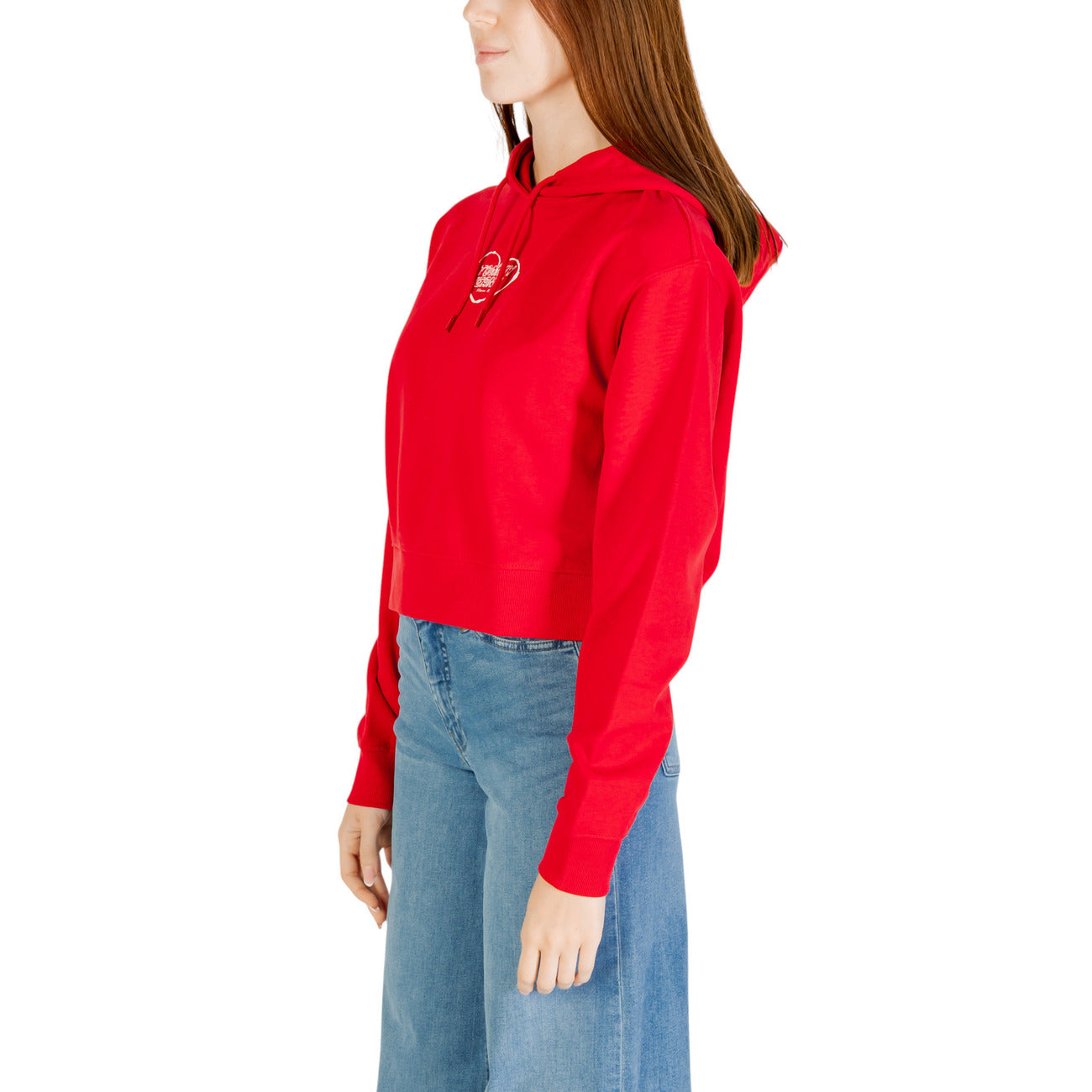 Tommy Hilfiger Jeans Femme Sweatshirts