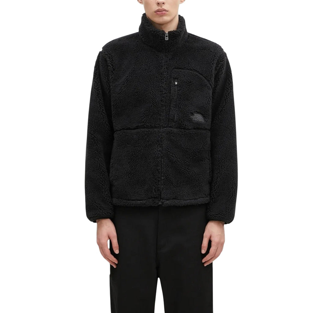 The North Face Homme Jaquettes