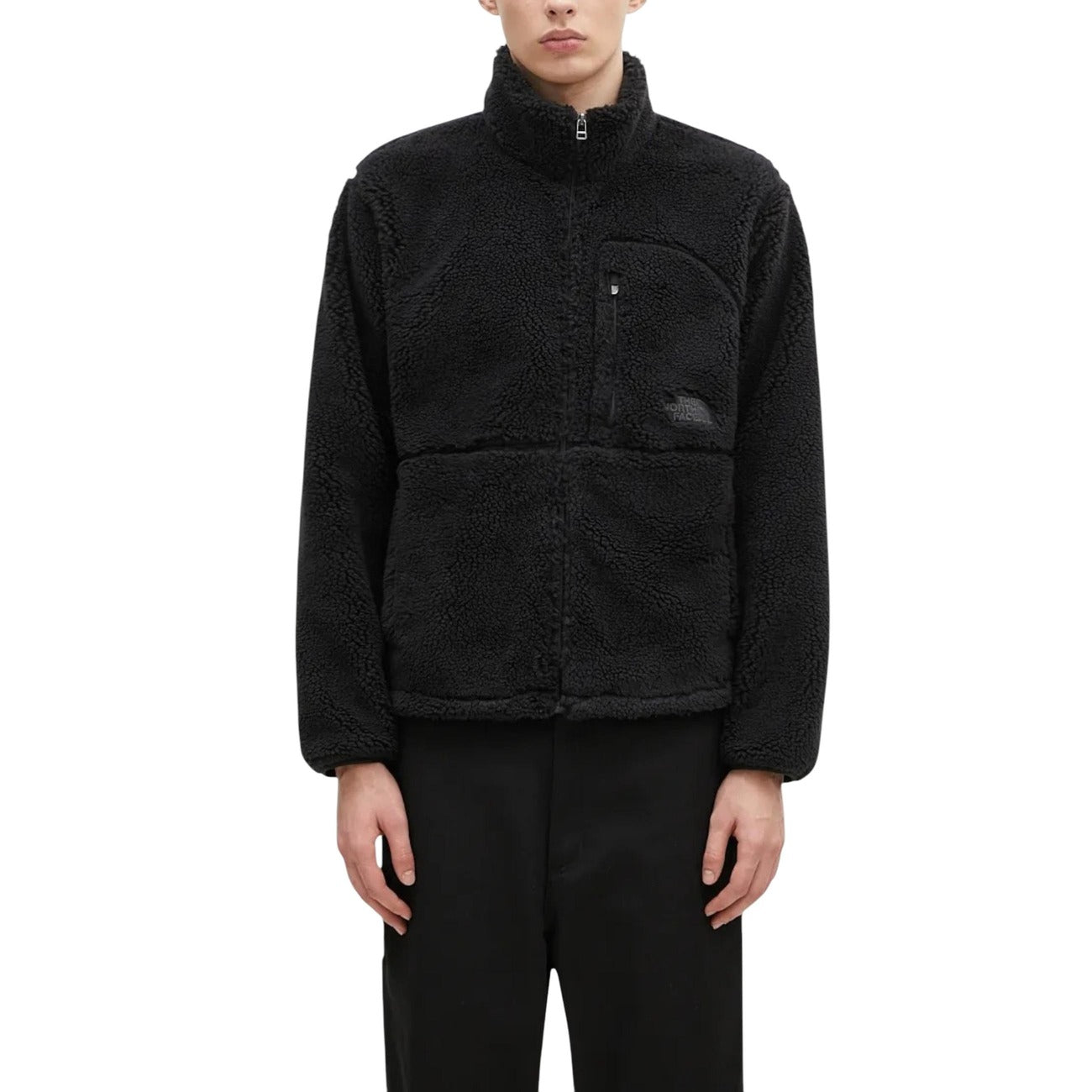 The North Face Homme Jaquettes