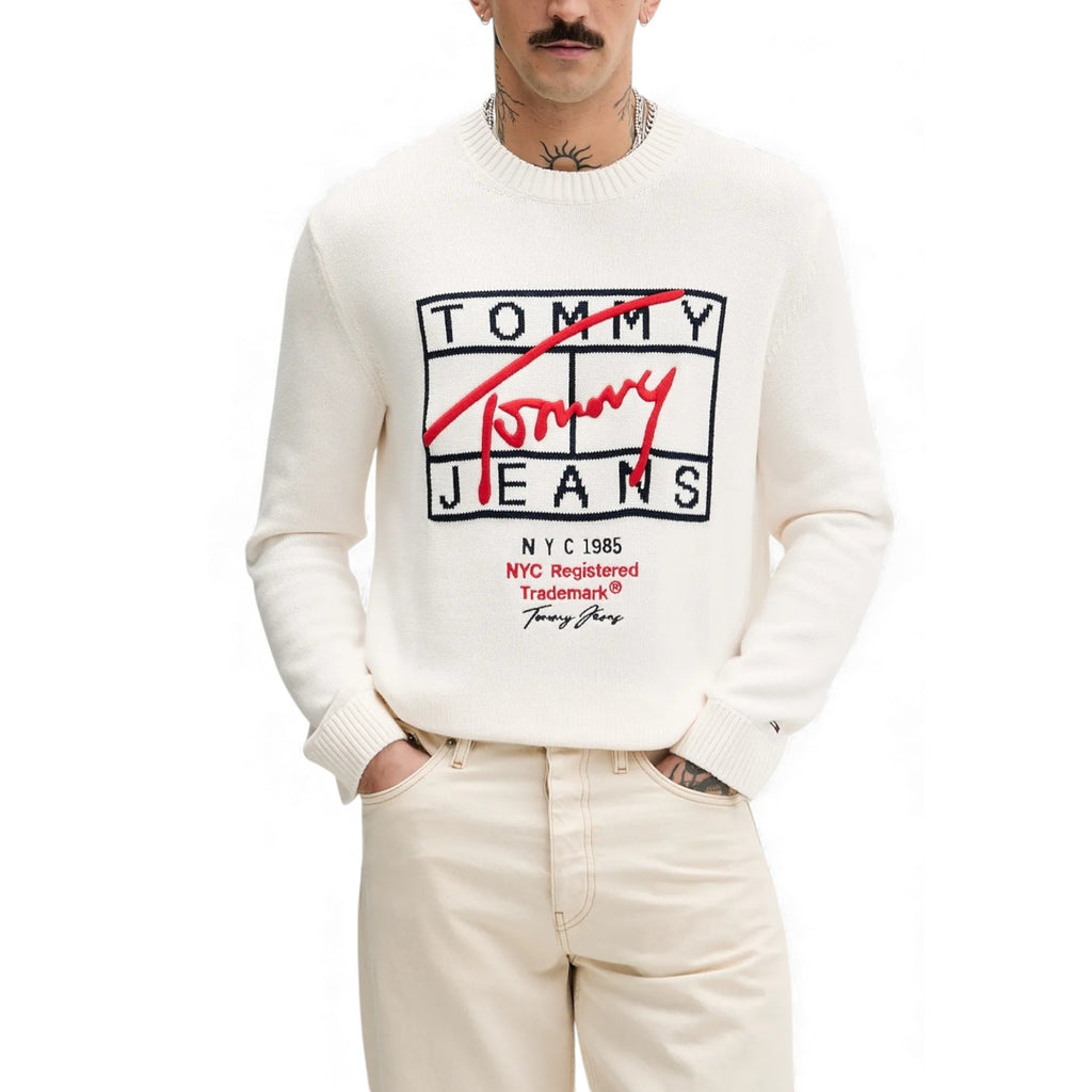 Tommy Hilfiger Jeans Homme Pulls