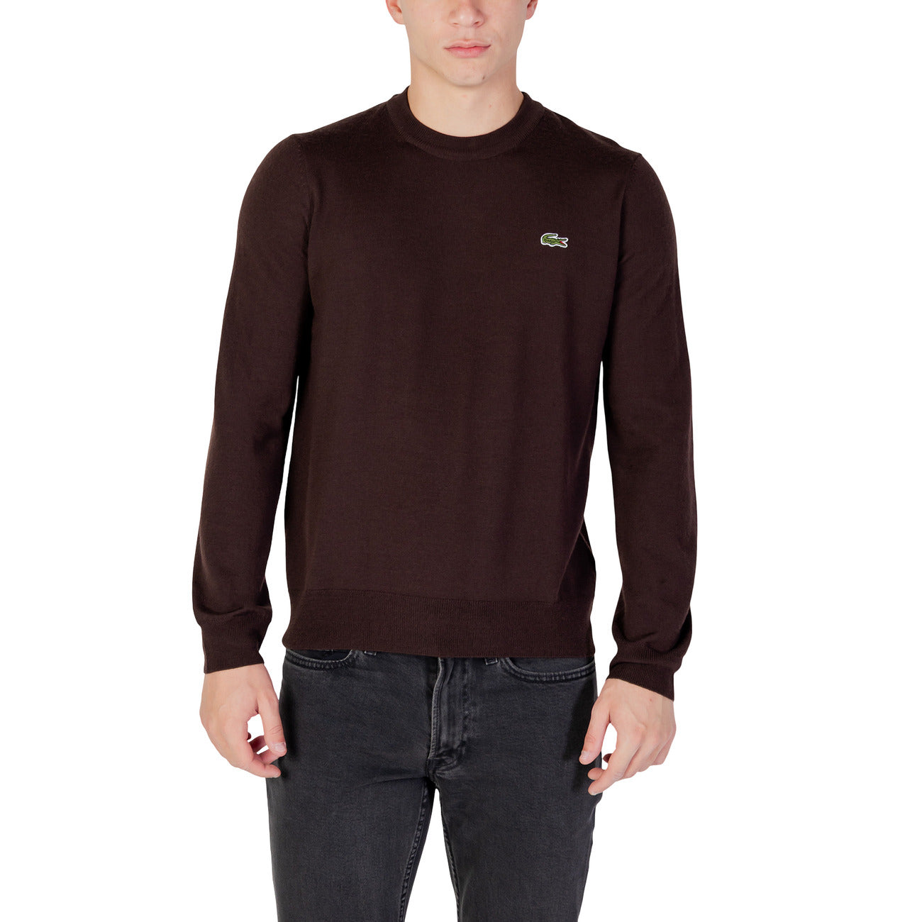 Lacoste Homme Pulls