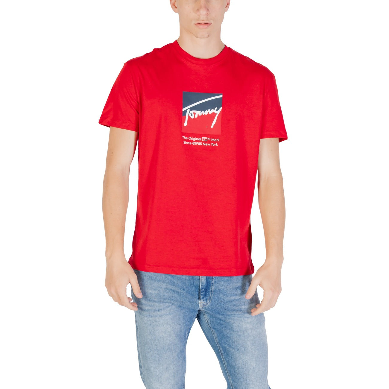 Tommy Hilfiger Jeans Homme T-Shirts