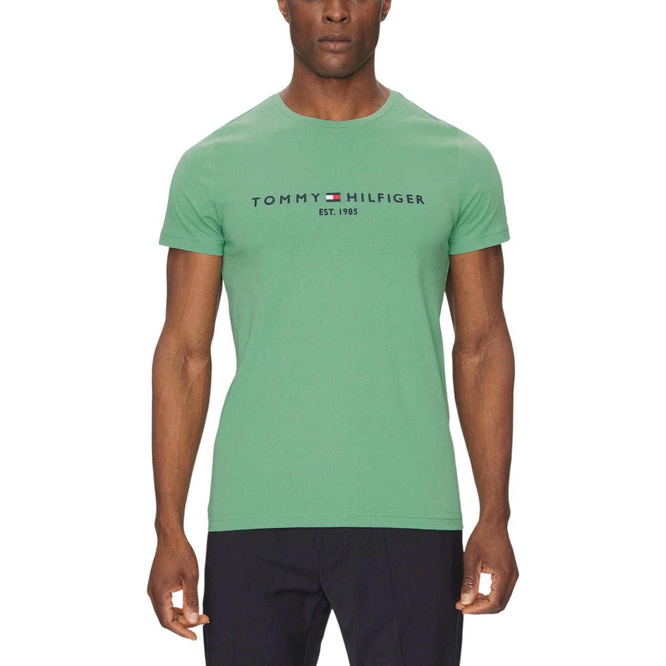Tommy Hilfiger Homme T-Shirts