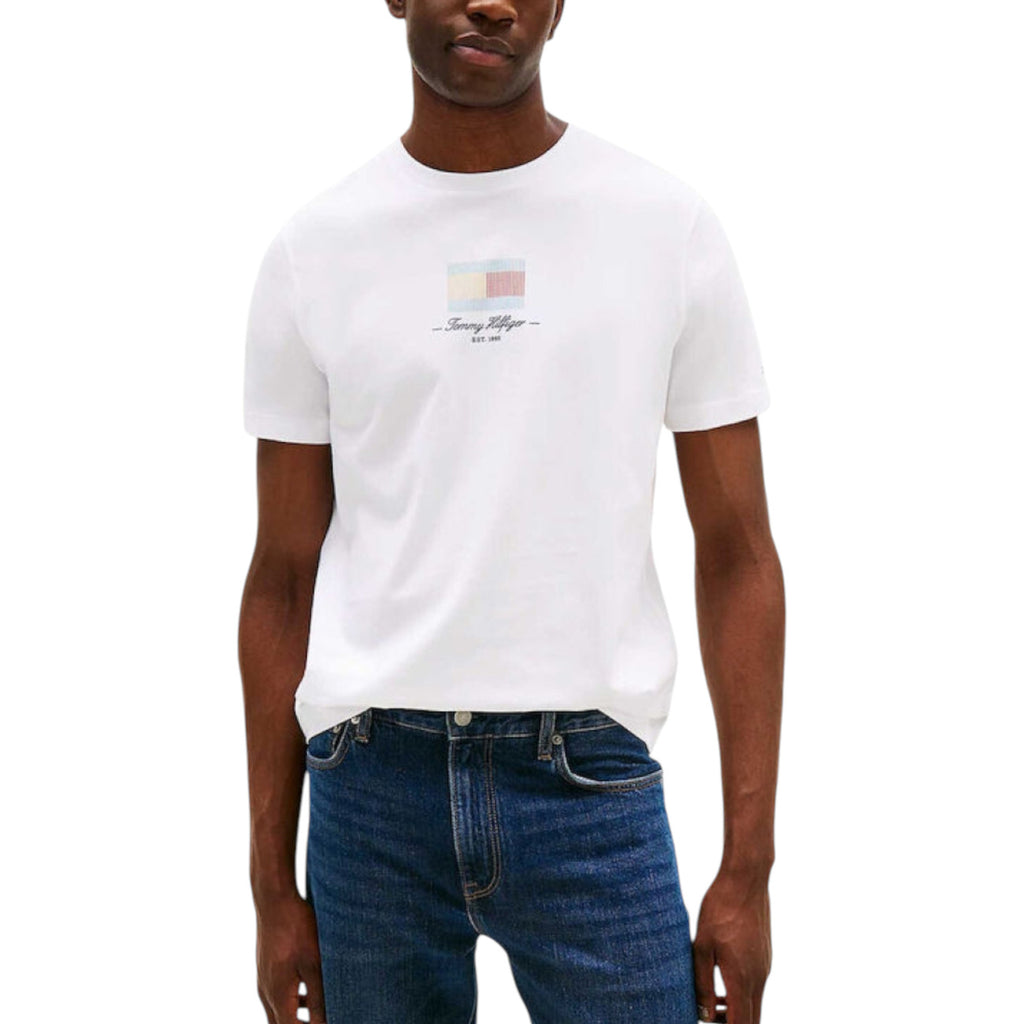 Tommy Hilfiger Homme T-Shirts
