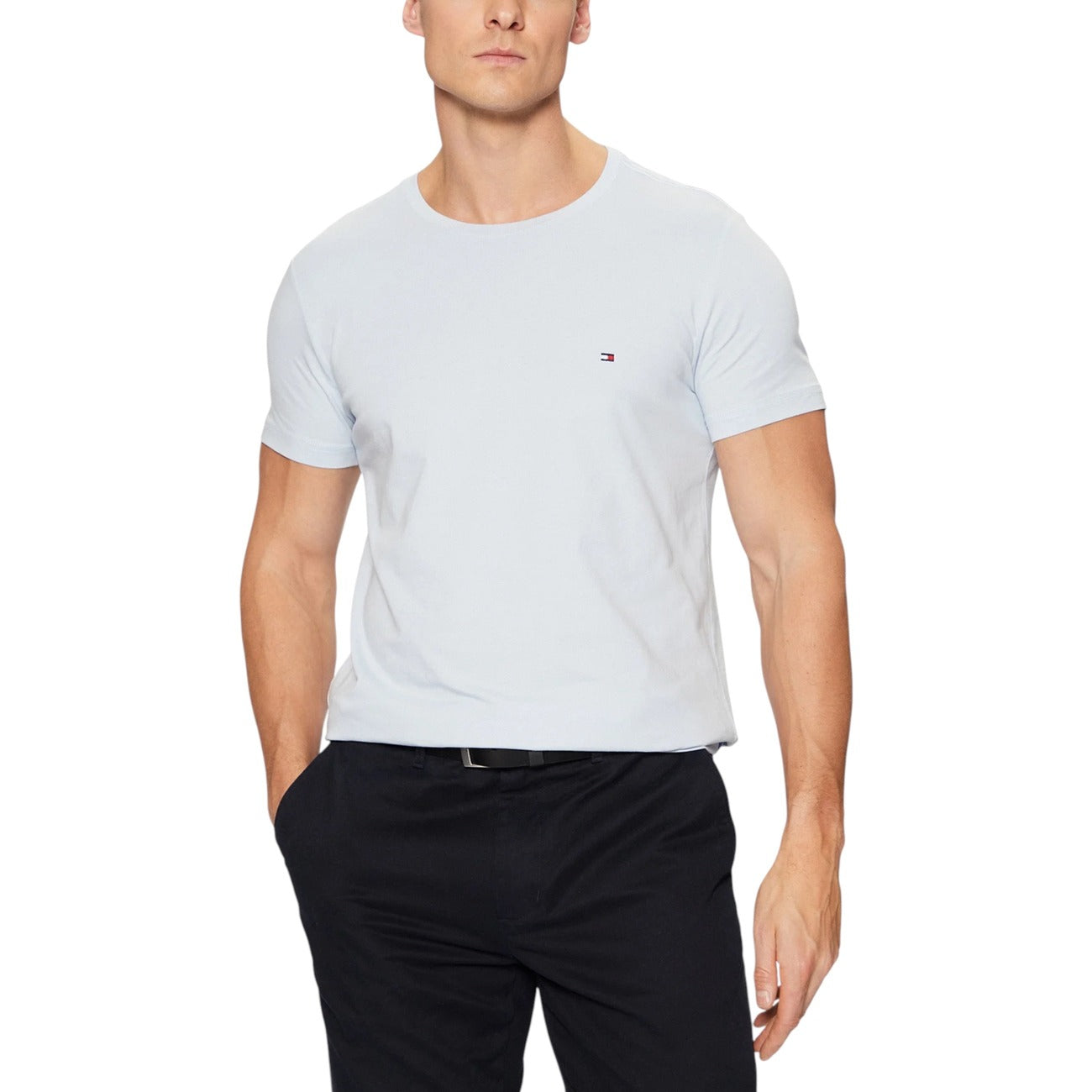 Tommy Hilfiger Homme T-Shirts