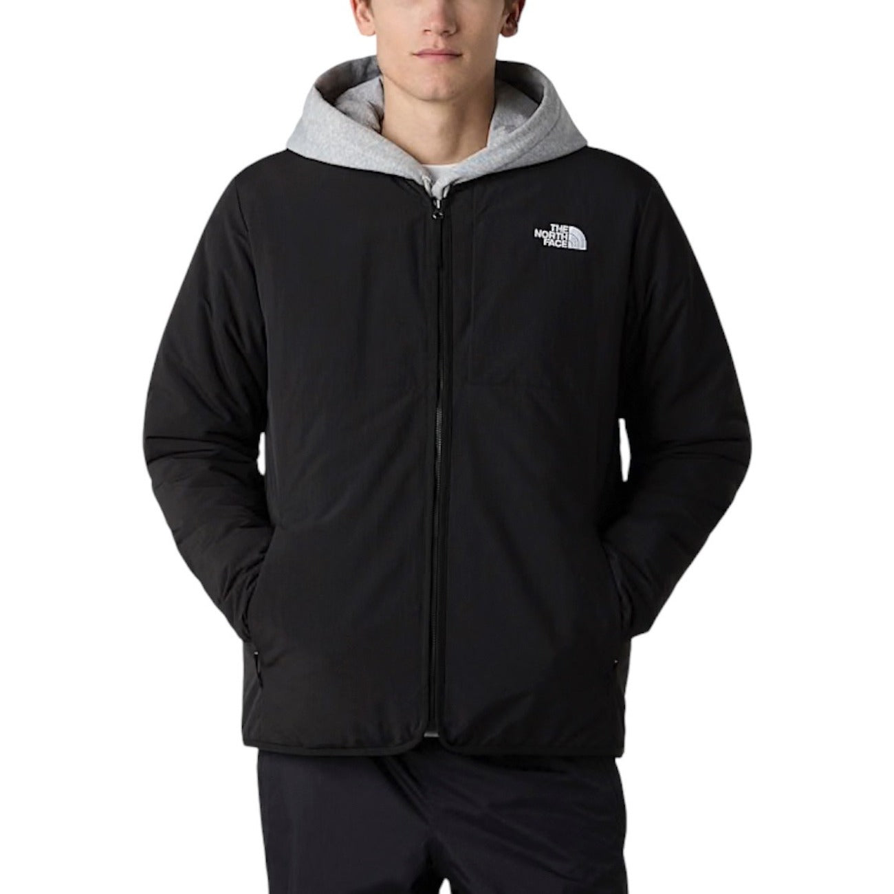 The North Face Homme Jaquettes